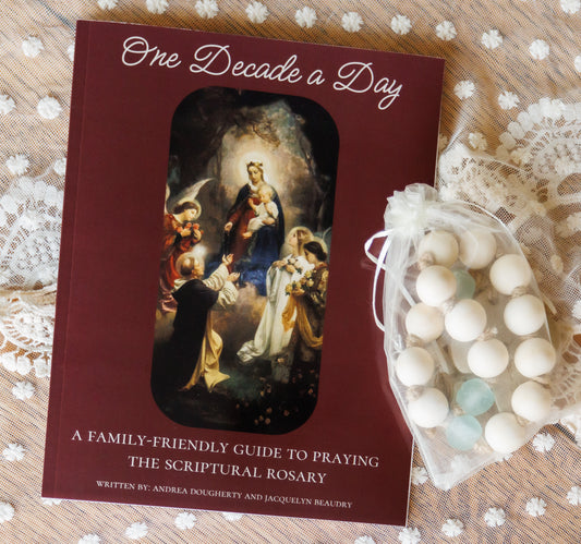 One Decade a Day Rosary Kit